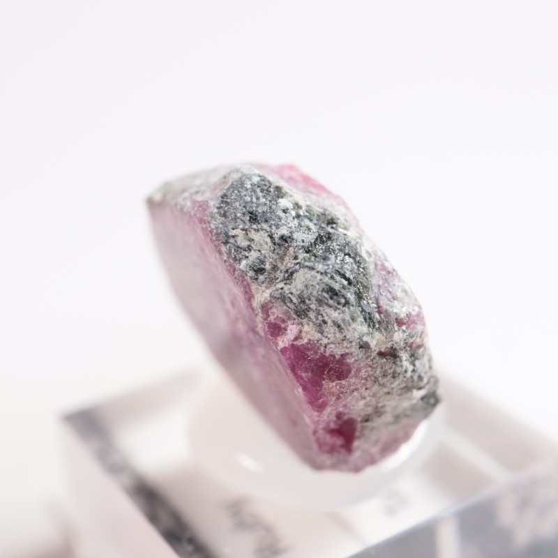 ���󥶥˥��� ��ӡ�