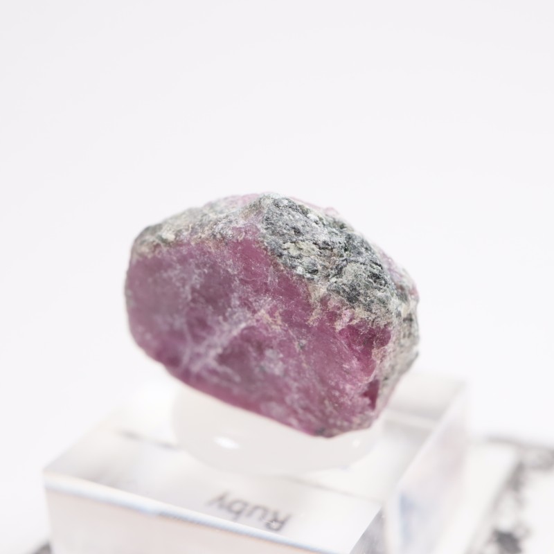 ���󥶥˥��� ��ӡ�