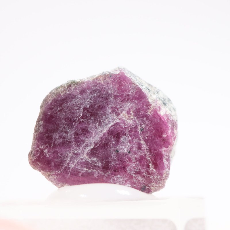 ���󥶥˥��� ��ӡ�