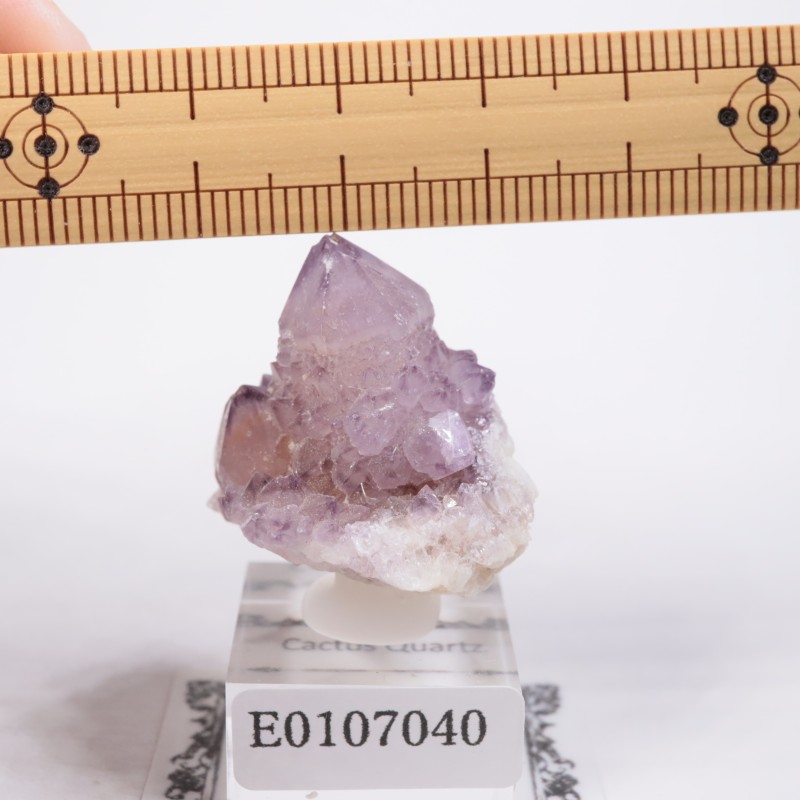 ��եꥫ��������������������