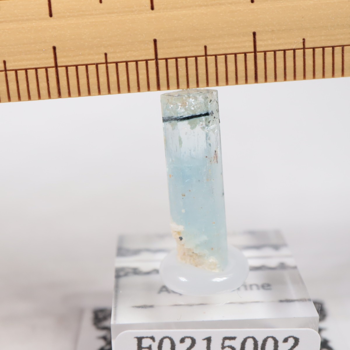 �ʥߥӥ��������󥴹ۻ��� �������ޥ��