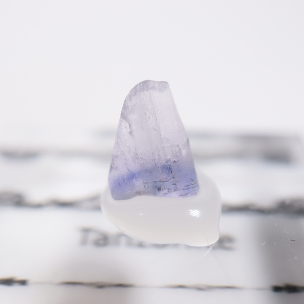 ����˥ҥ륺�� ���󥶥ʥ���