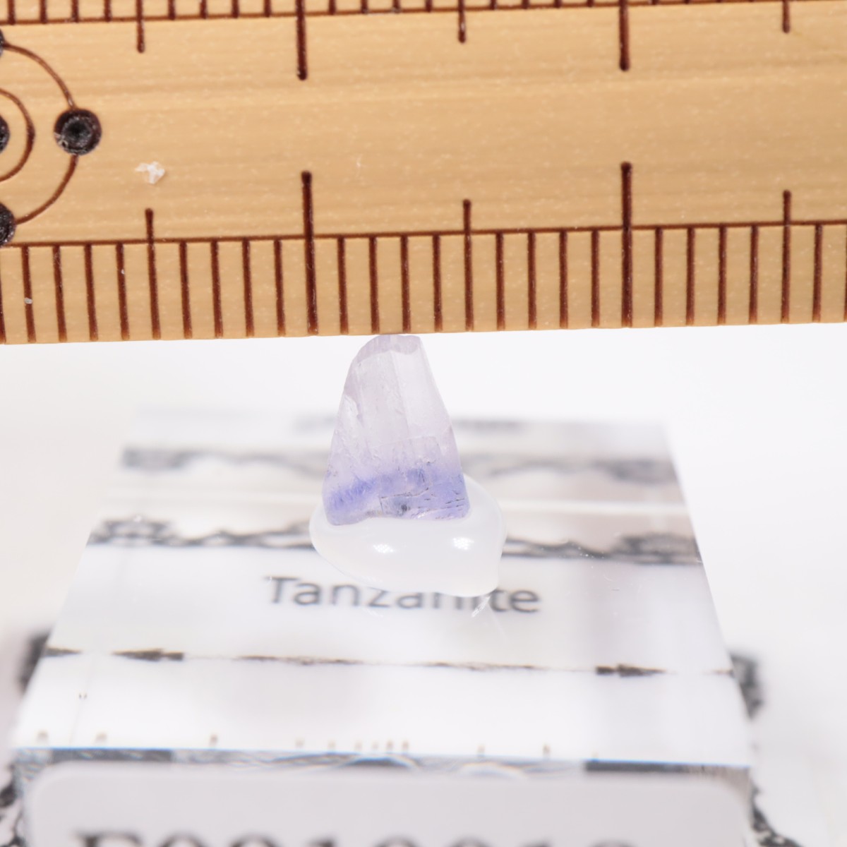 ����˥ҥ륺�� ���󥶥ʥ���