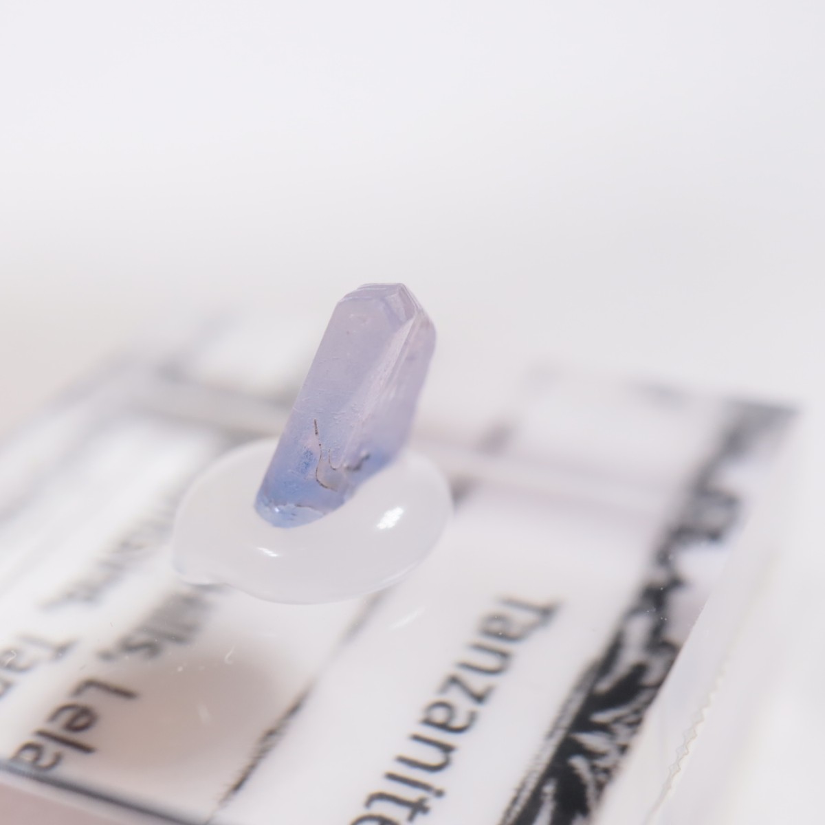 ����˥ҥ륺�� ���󥶥ʥ���