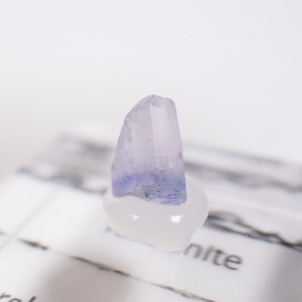 ����˥ҥ륺�� ���󥶥ʥ���