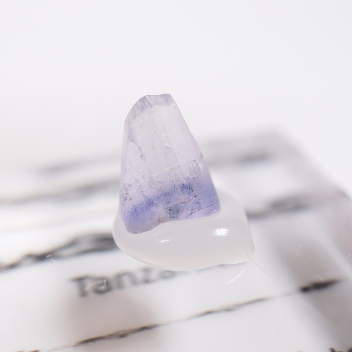 ����˥ҥ륺�� ���󥶥ʥ���