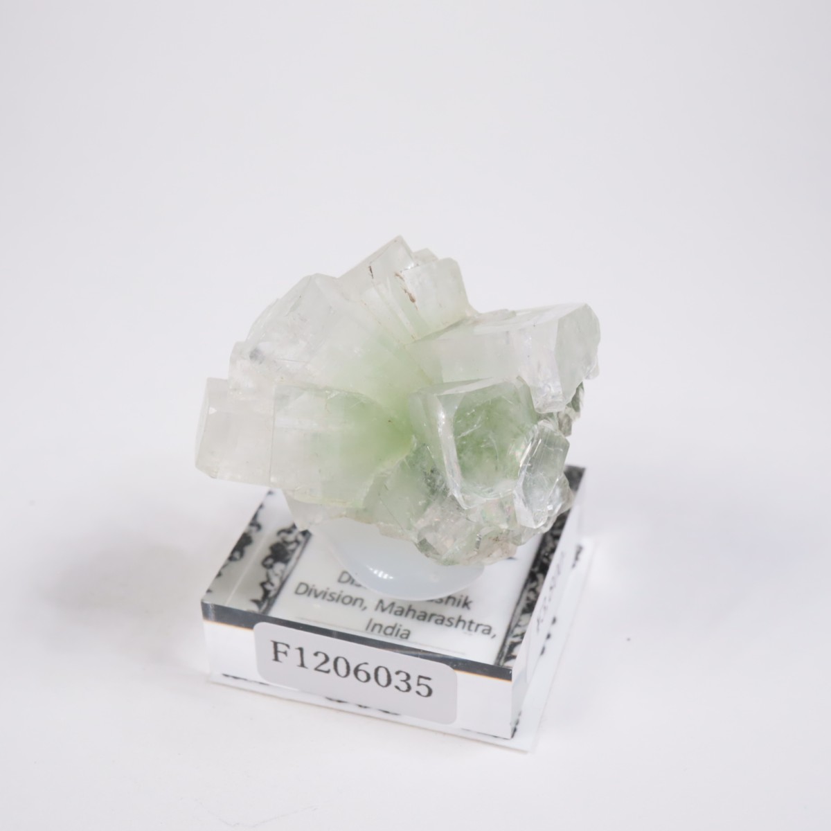 ����ɻ� ���ݥե��饤��