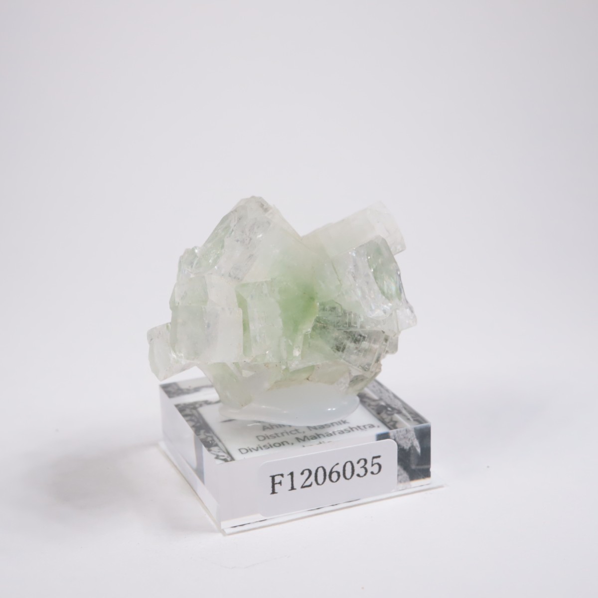 ����ɻ� ���ݥե��饤��