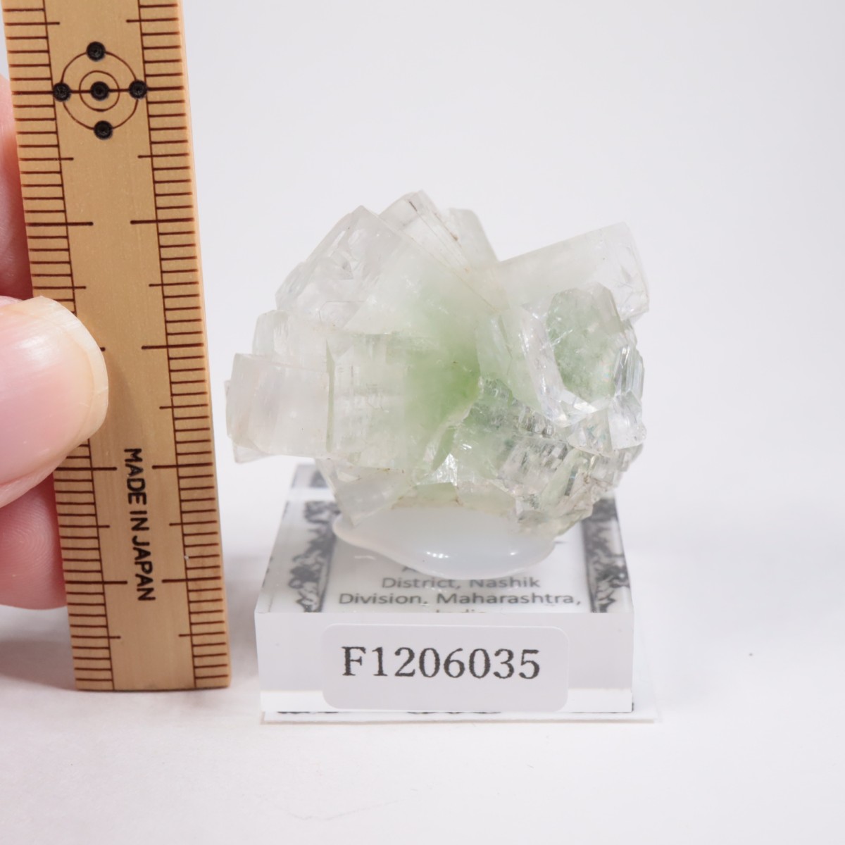 ����ɻ� ���ݥե��饤��