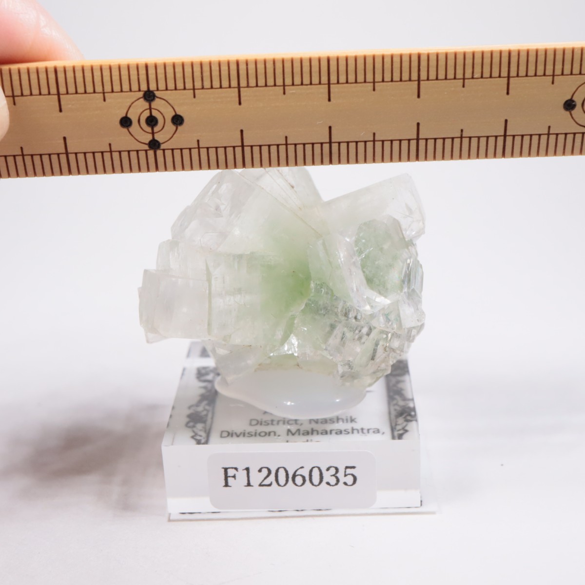 ����ɻ� ���ݥե��饤��