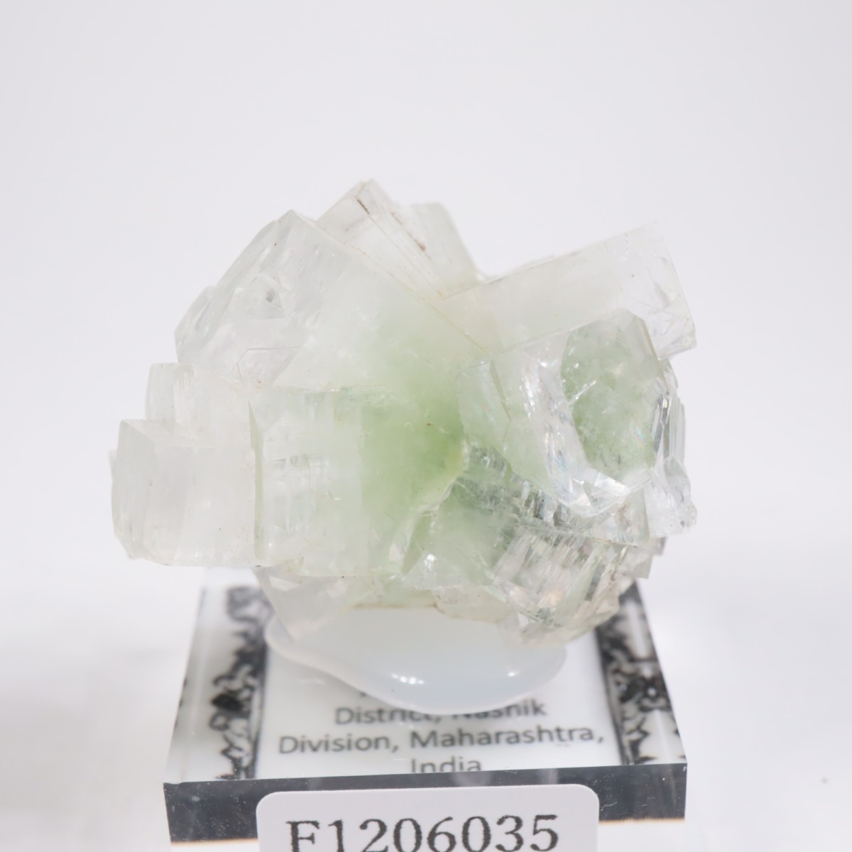 ����ɻ� ���ݥե��饤��