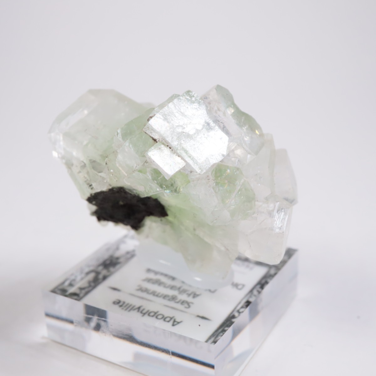 ����ɻ� ���ݥե��饤��