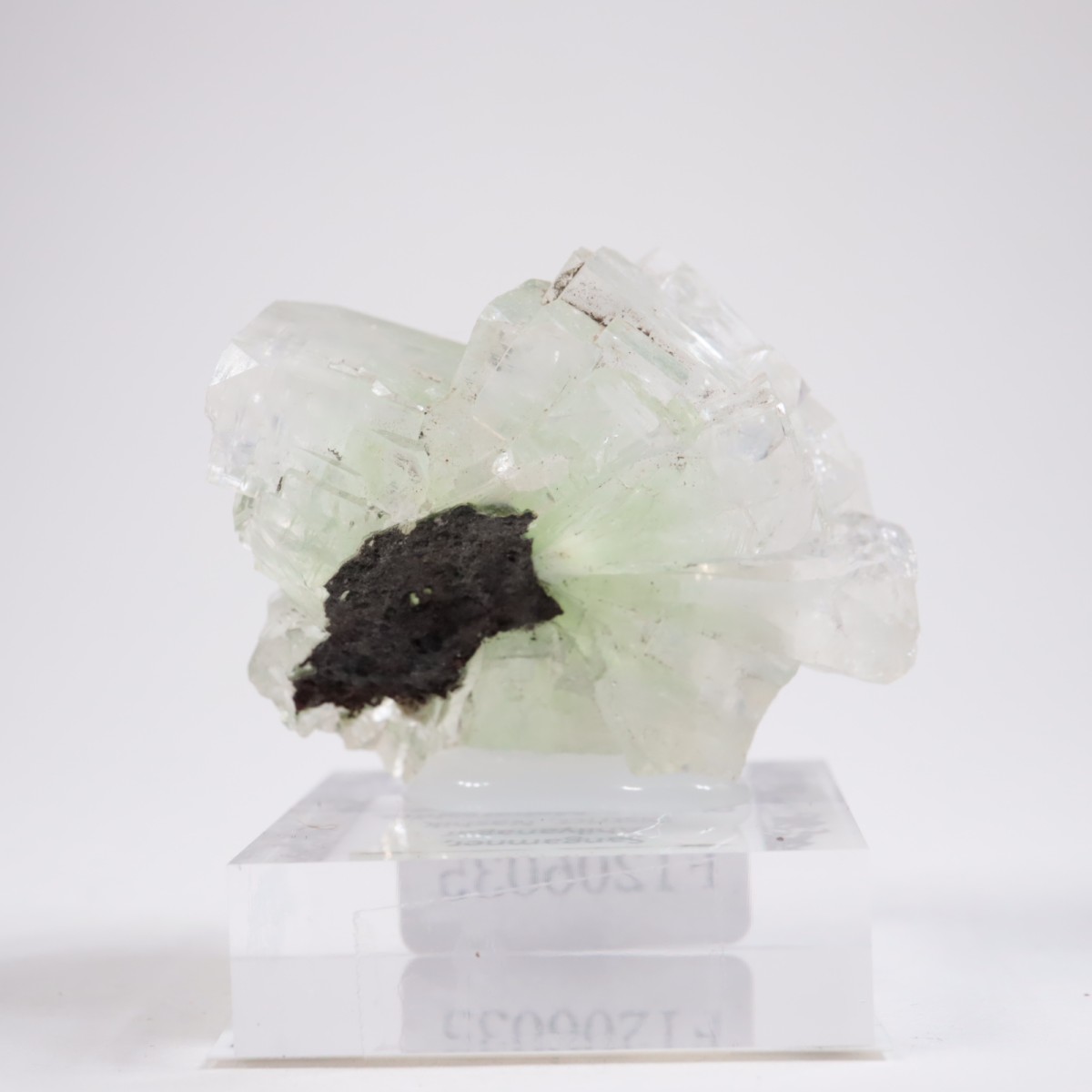 ����ɻ� ���ݥե��饤��