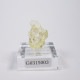 Catuji�� �إꥪ�ɡ���
