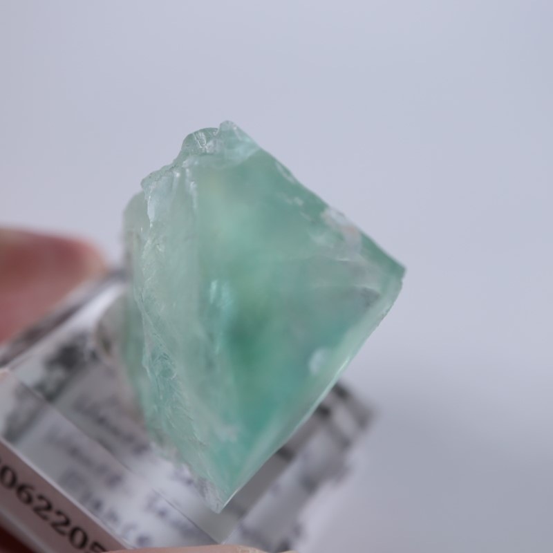 �ե�󥹻����ե����饤��