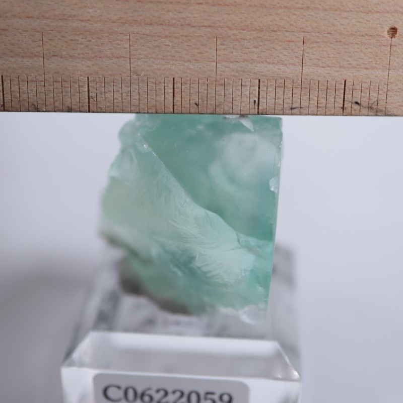 �ե�󥹻����ե����饤��