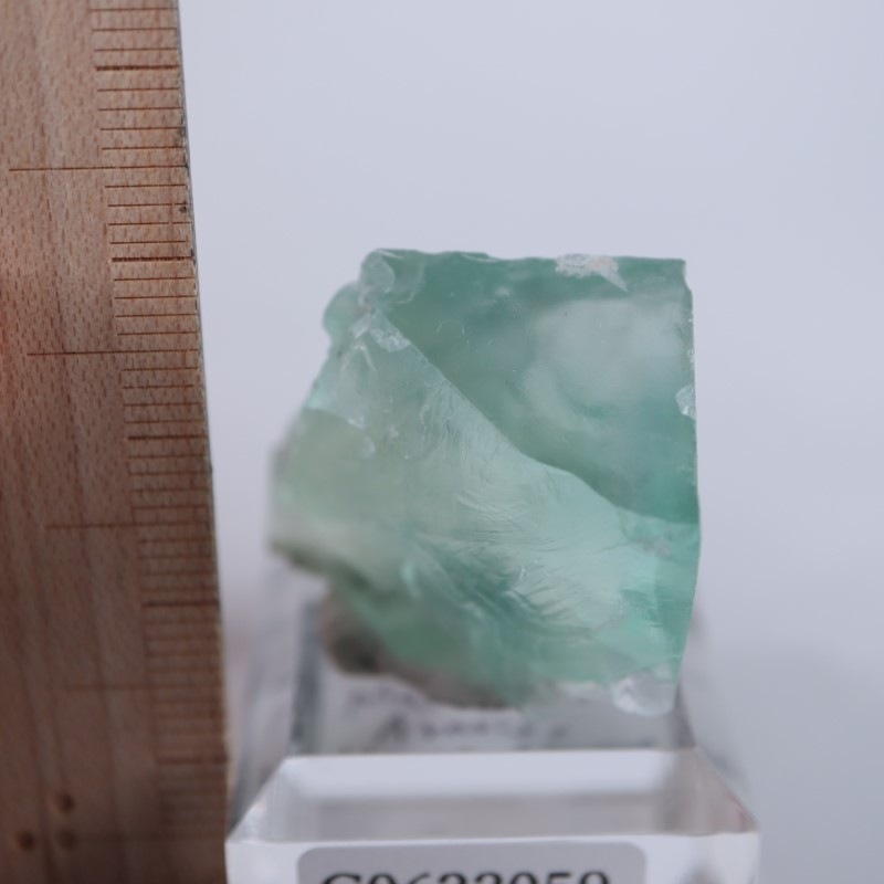 �ե�󥹻����ե����饤��