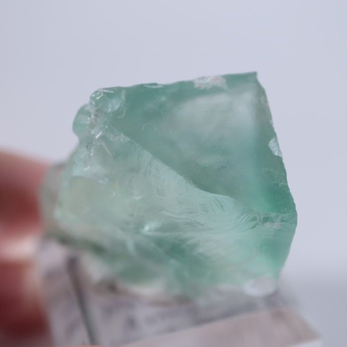 �ե�󥹻����ե����饤��