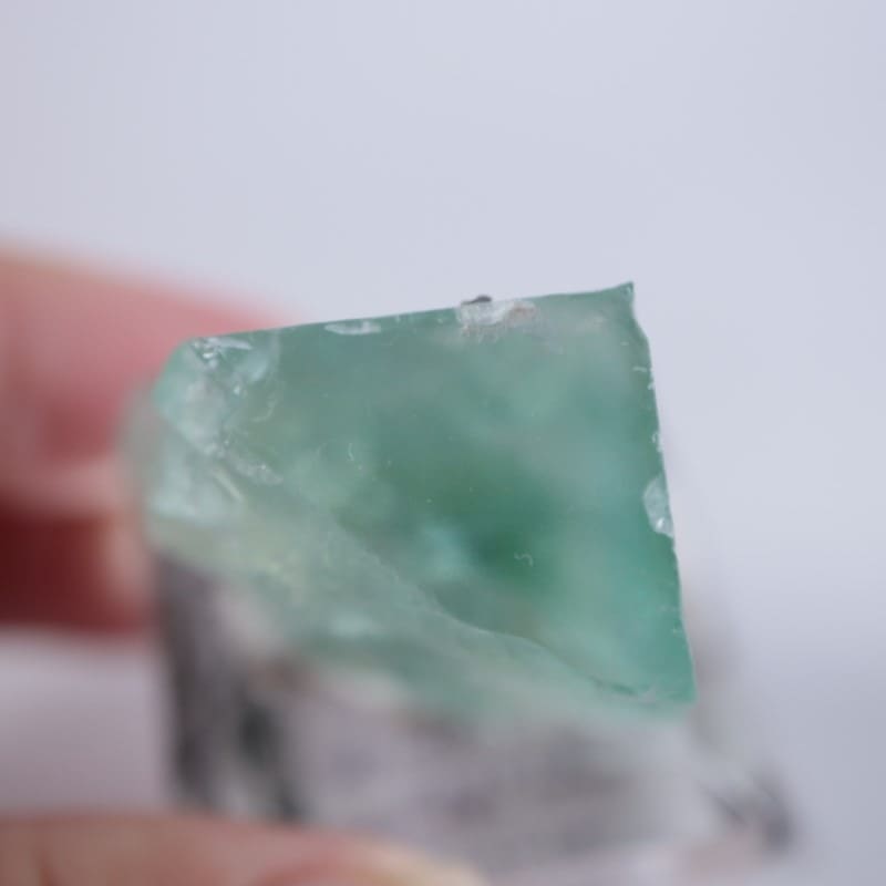 �ե�󥹻����ե����饤��