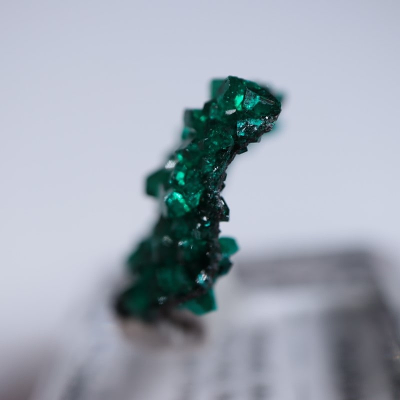 コンゴ産 ダイオプテーズ | 鉱物標本,タ行,ダイオプテーズ/翠銅鉱