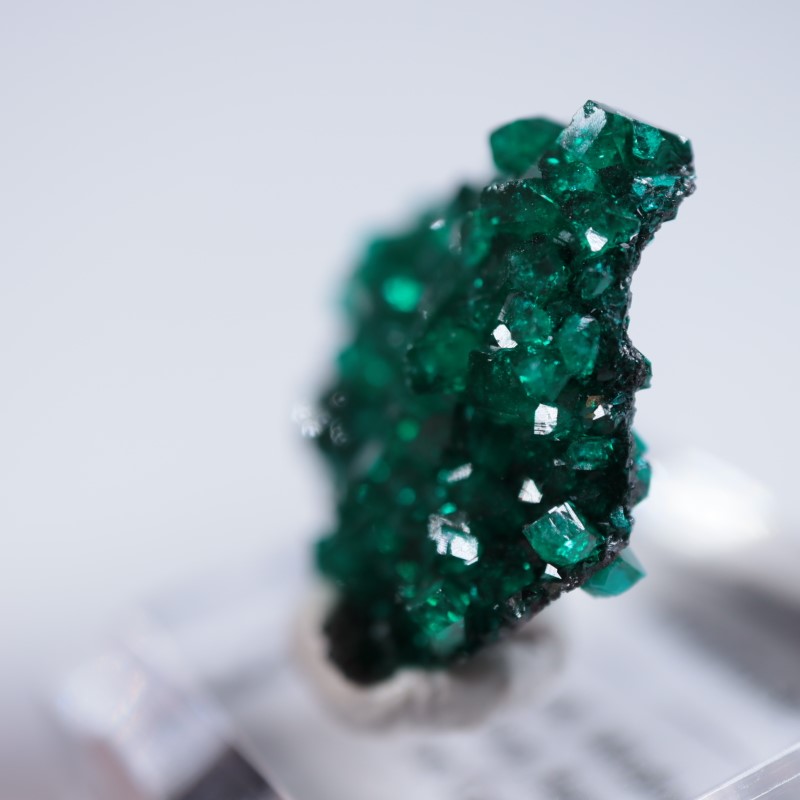 コンゴ産 ダイオプテーズ | 鉱物標本,タ行,ダイオプテーズ/翠