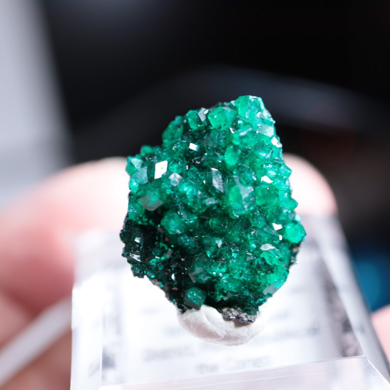 ���󥴻����������ץơ���