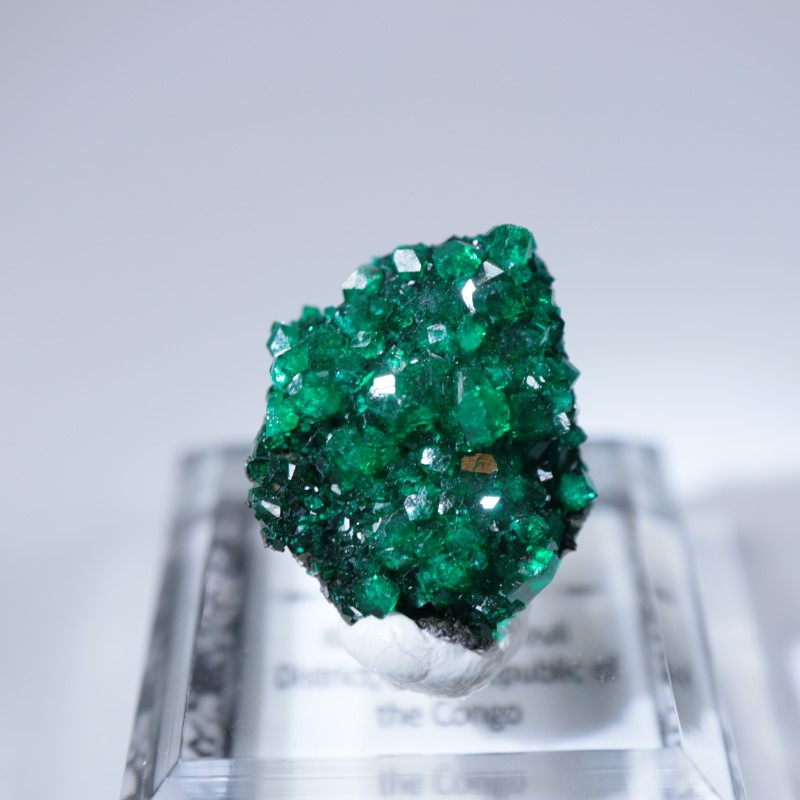 ���󥴻����������ץơ���