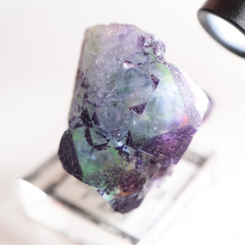 Green Monster Pocket フローライト | 鉱物標本,ハ行,フローライト/蛍