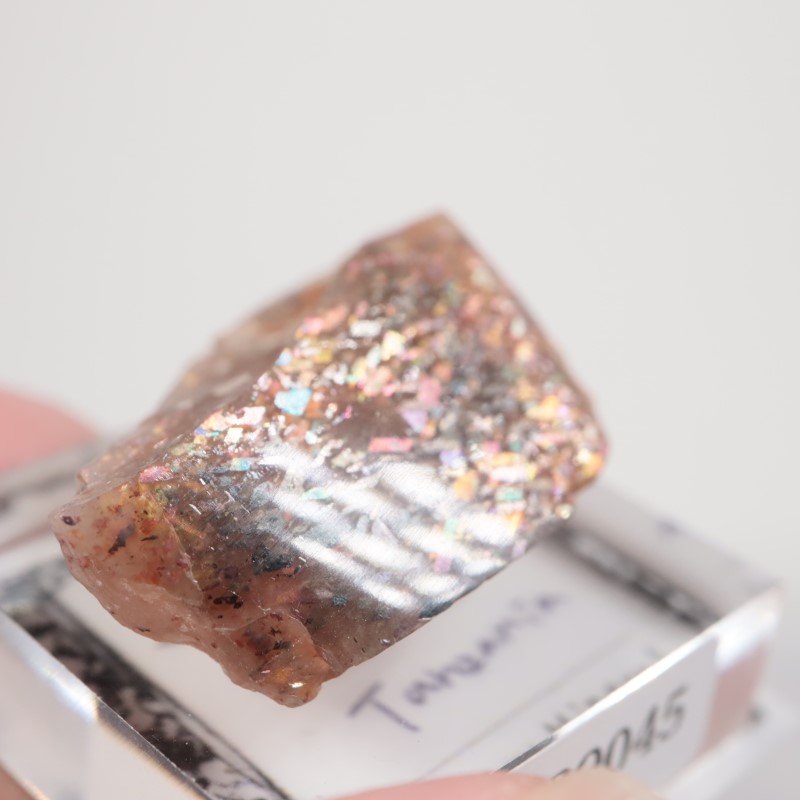 ���󥶥˥������쥤��ܡ���ƥ������󥹥ȡ���