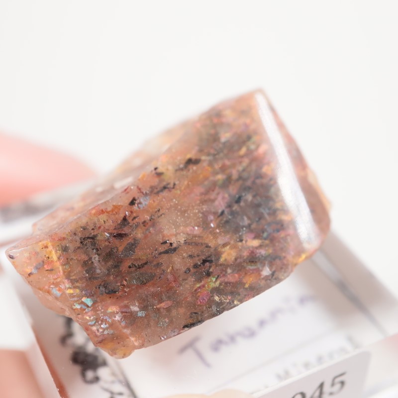 ���󥶥˥������쥤��ܡ���ƥ������󥹥ȡ���