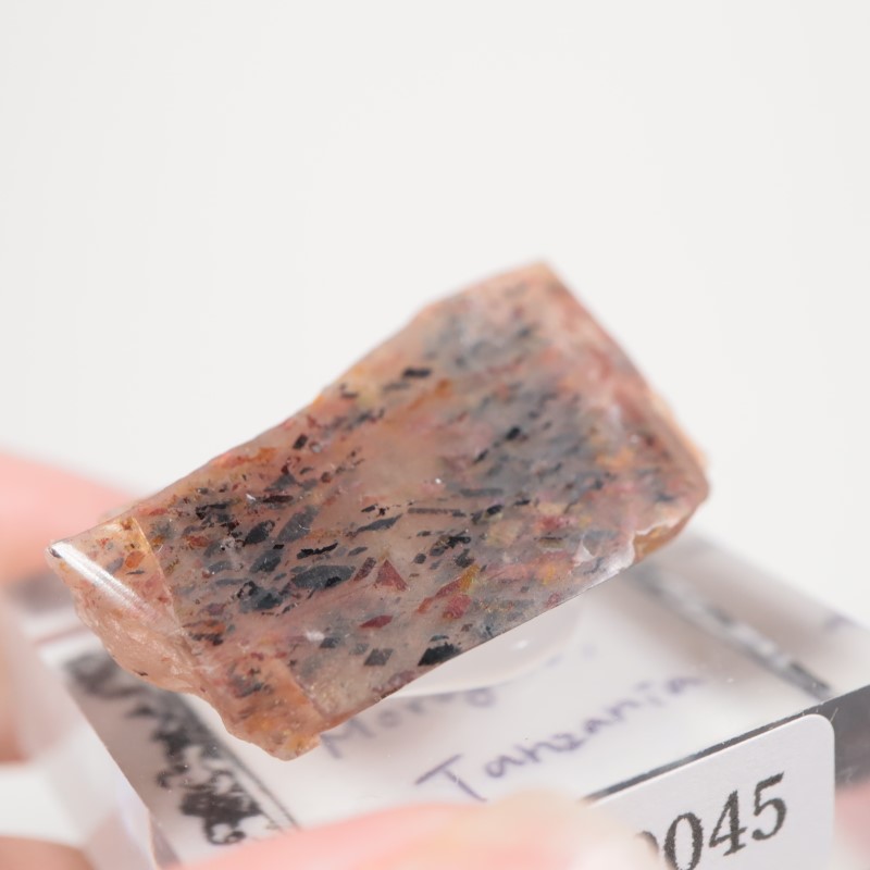 ���󥶥˥������쥤��ܡ���ƥ������󥹥ȡ���