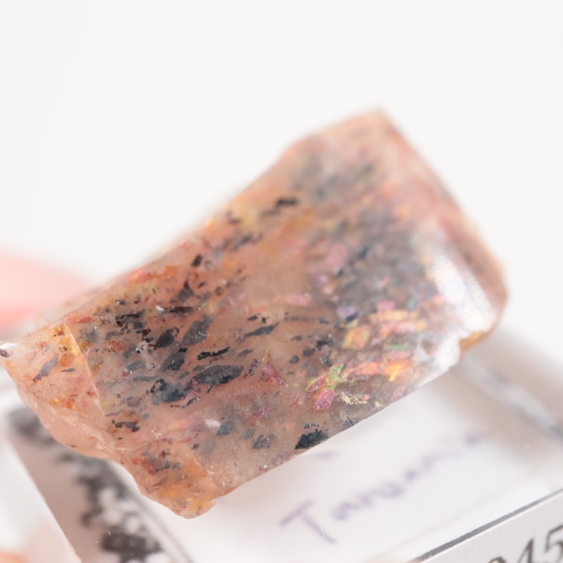 ���󥶥˥������쥤��ܡ���ƥ������󥹥ȡ���