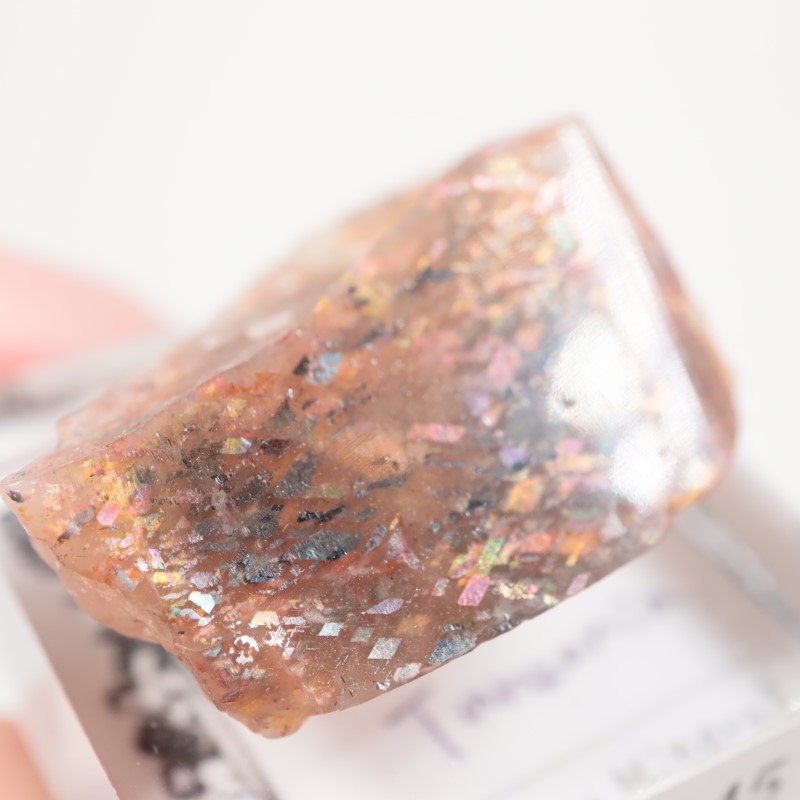 ���󥶥˥������쥤��ܡ���ƥ������󥹥ȡ���