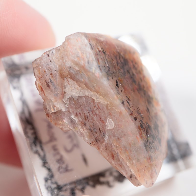 ���󥶥˥������쥤��ܡ���ƥ������󥹥ȡ���