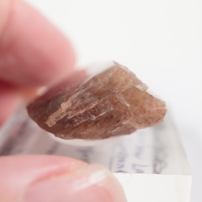 ���󥶥˥������쥤��ܡ���ƥ������󥹥ȡ���