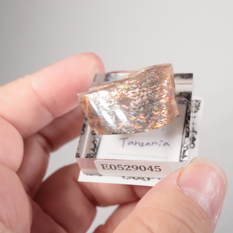 ���󥶥˥������쥤��ܡ���ƥ������󥹥ȡ���