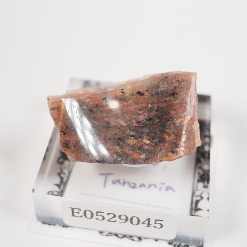 ���󥶥˥������쥤��ܡ���ƥ������󥹥ȡ���