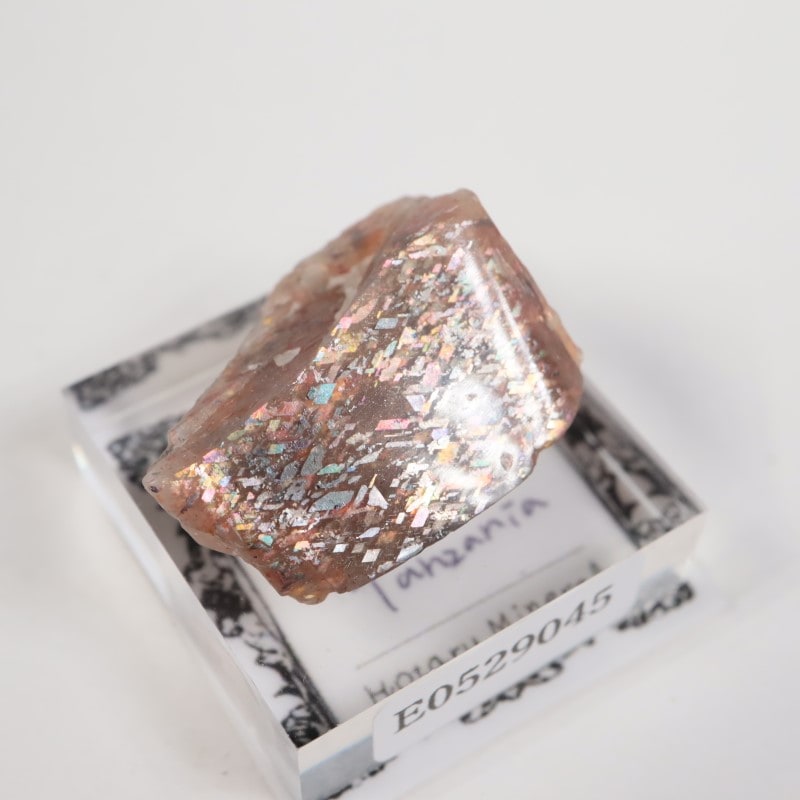 ���󥶥˥������쥤��ܡ���ƥ������󥹥ȡ���