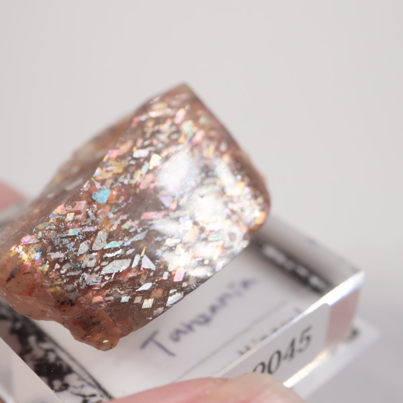 ���󥶥˥������쥤��ܡ���ƥ������󥹥ȡ���