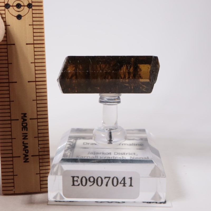 ネパール産 ドラバイト・トルマリン | 鉱物標本,タ行,トルマリン/電気