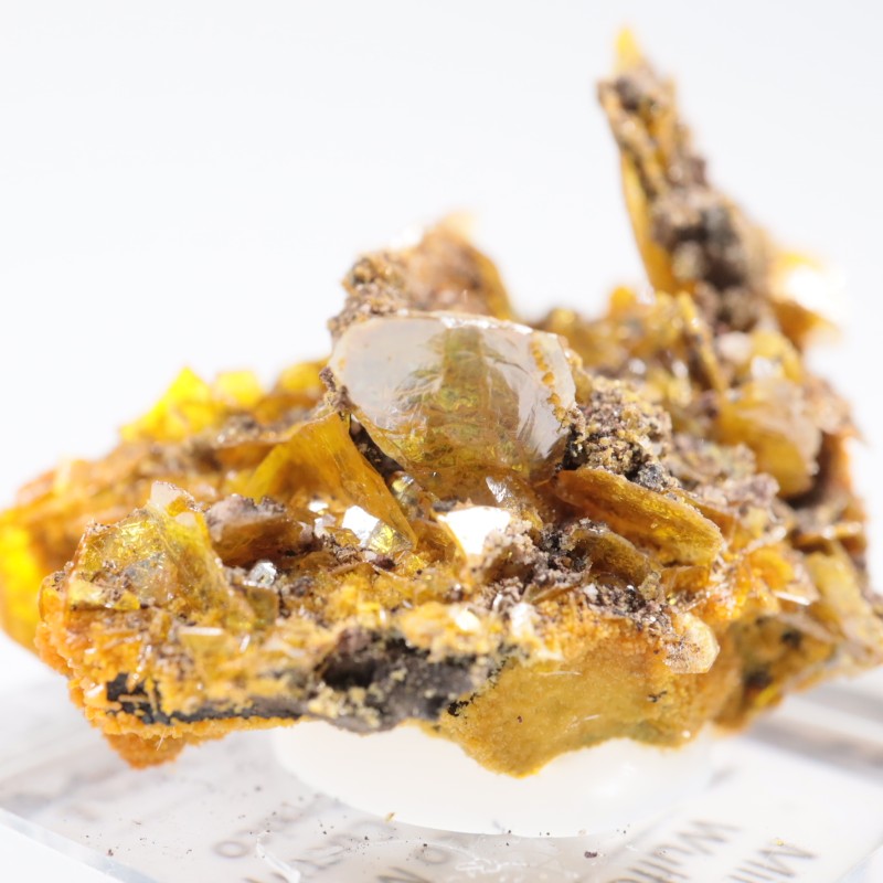 �ᥭ������ ����ե��ʥ��ȡ��ߥ�å�����