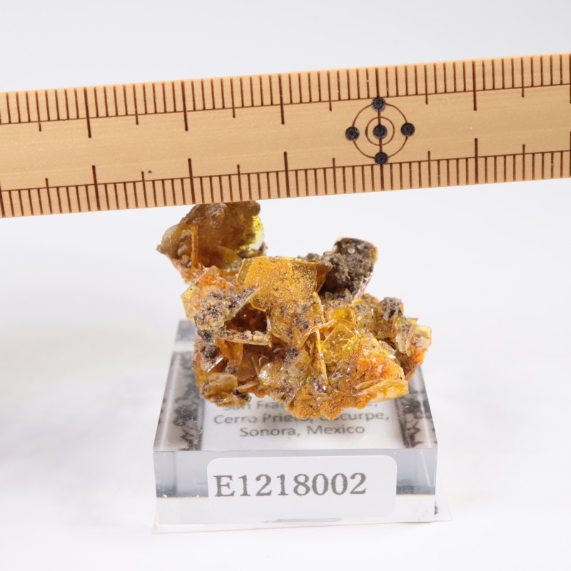 �ᥭ������ ����ե��ʥ��ȡ��ߥ�å�����