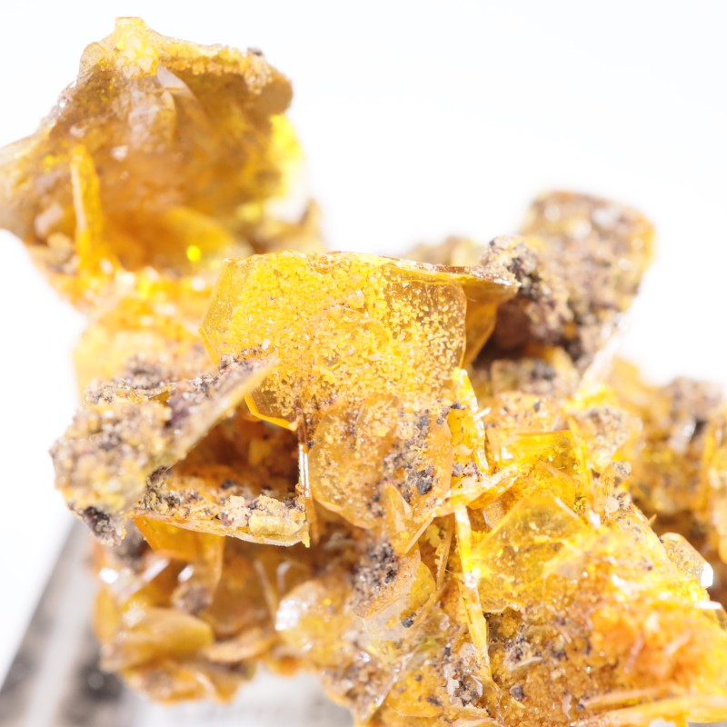 �ᥭ������ ����ե��ʥ��ȡ��ߥ�å�����