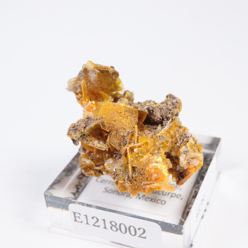 �ᥭ������ ����ե��ʥ��ȡ��ߥ�å�����