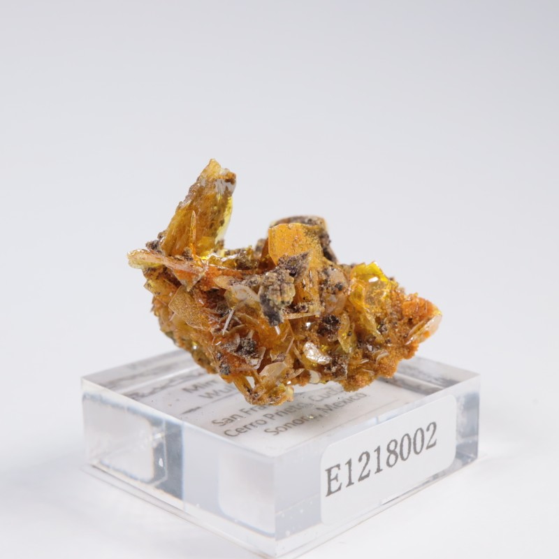 �ᥭ������ ����ե��ʥ��ȡ��ߥ�å�����