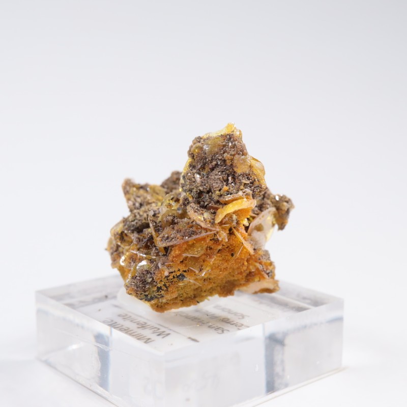 �ᥭ������ ����ե��ʥ��ȡ��ߥ�å�����