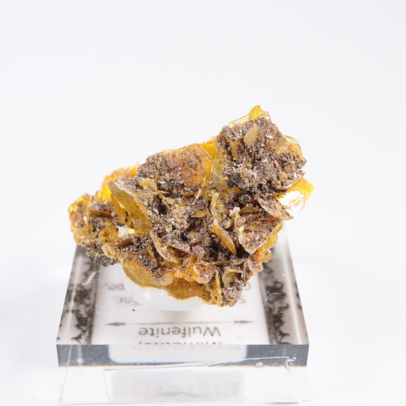 �ᥭ������ ����ե��ʥ��ȡ��ߥ�å�����