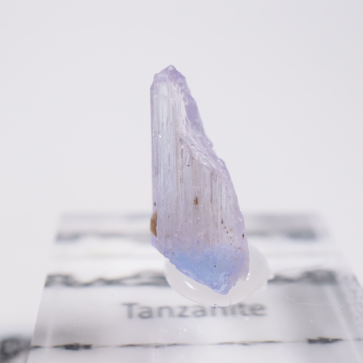 ����˥ҥ륺�� ���󥶥ʥ���