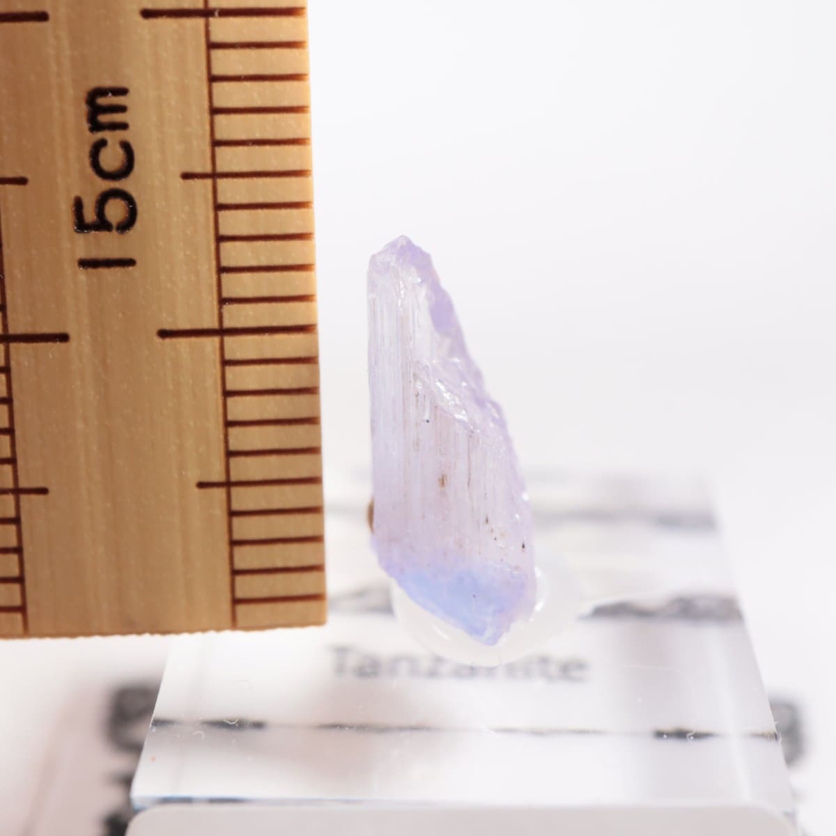 ����˥ҥ륺�� ���󥶥ʥ���