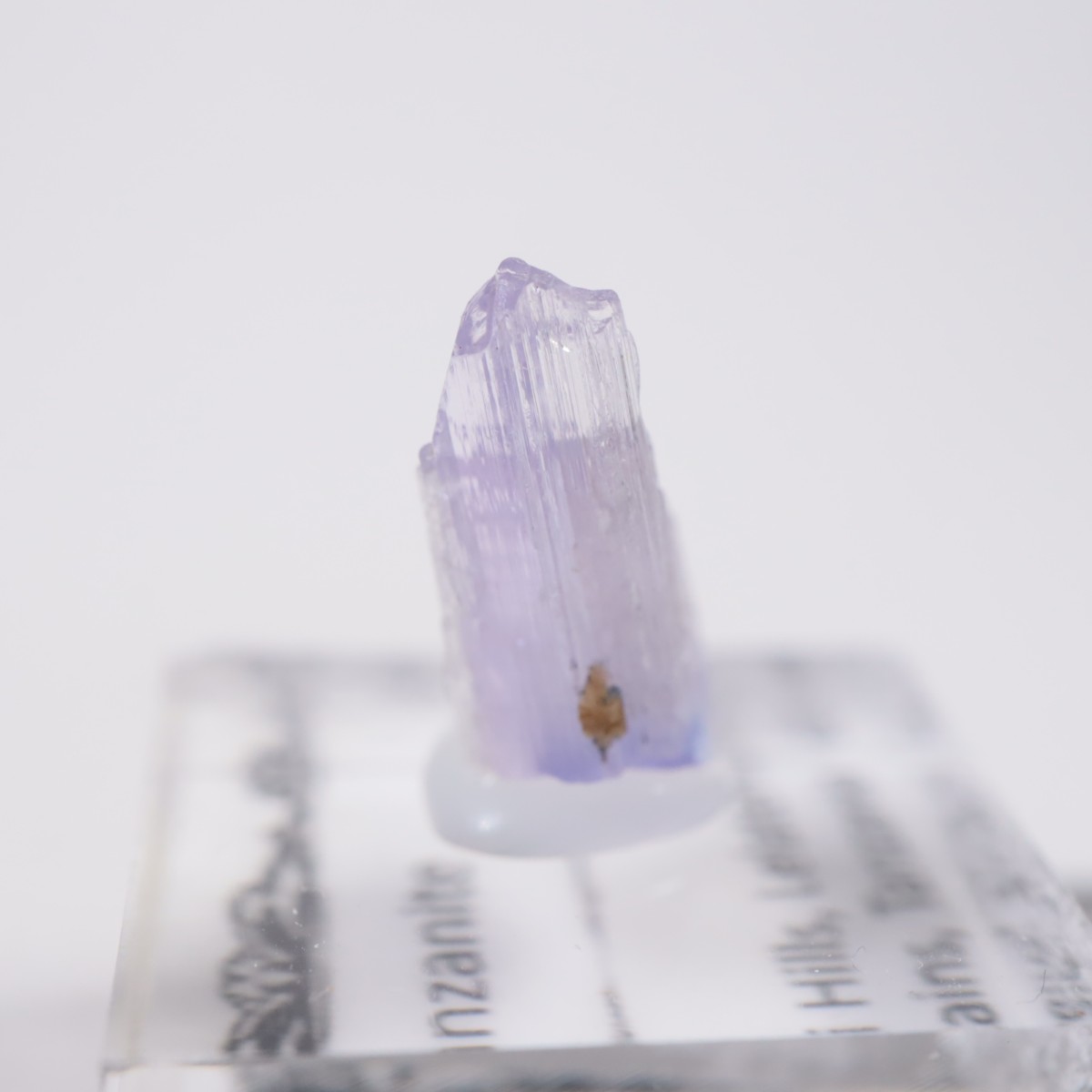 ����˥ҥ륺�� ���󥶥ʥ���